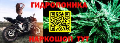 ГАЛЛЮЦИНОГЕННЫЕ ГРИБЫ Малгобек